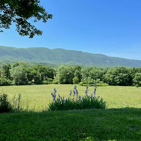 Provencal With Luberon Views Céreste