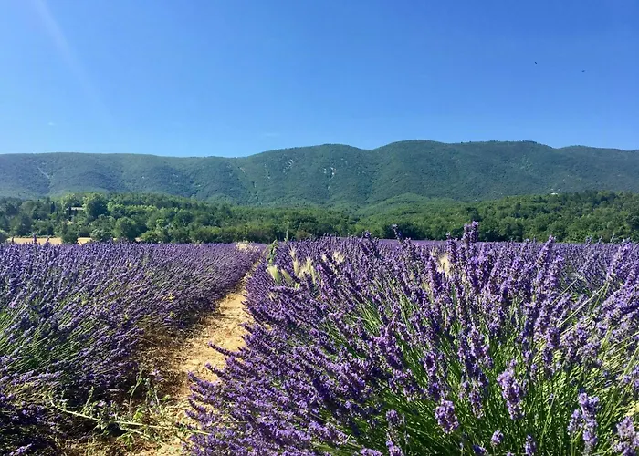 펜션 Provencal With Luberon Views Céreste